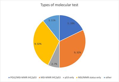 Management of metastatic endometrial cancer: physicians’ choices beyond the first line after approval of checkpoint inhibitors